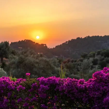 Hotel Ca's Xorc Luxury Retreat - Adults Only 4*
